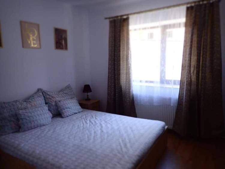 Casa D'Ana Apartment Geoagiu Bai Luaran gambar