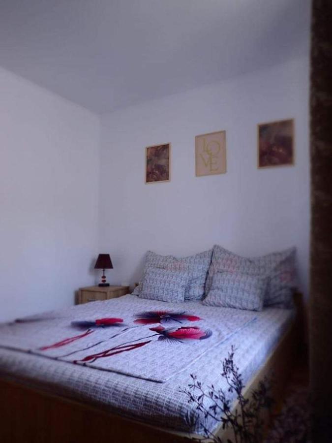 Casa D'Ana Apartment Geoagiu Bai Luaran gambar